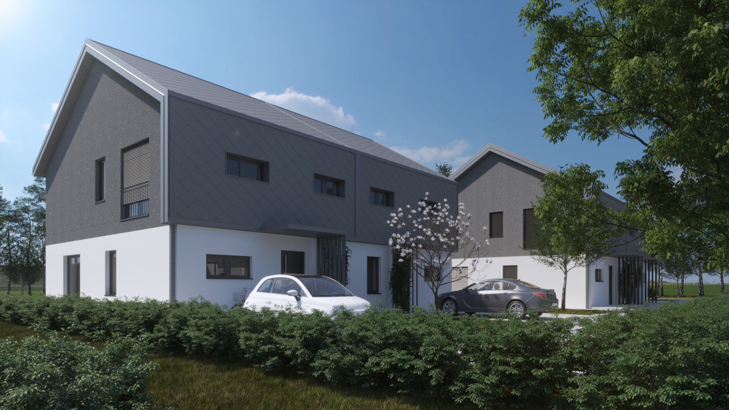 Vizualizacija Leseni Gaj